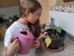 Kindness Week – Projeto Língua Inglesa