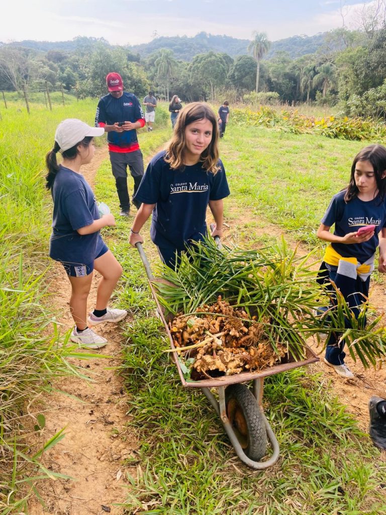Estudo do Meio na Zona Rural de São Paulo